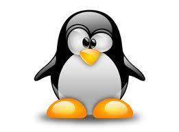 PINGUINI….