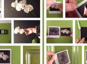 Polaroiders Tutorial Negative