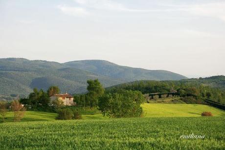 Villa Colle del Cardinale e territorio circostante.....un luogo di delizie