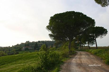 Villa Colle del Cardinale e territorio circostante.....un luogo di delizie