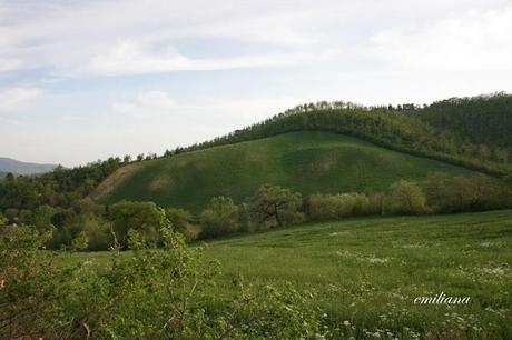 Villa Colle del Cardinale e territorio circostante.....un luogo di delizie