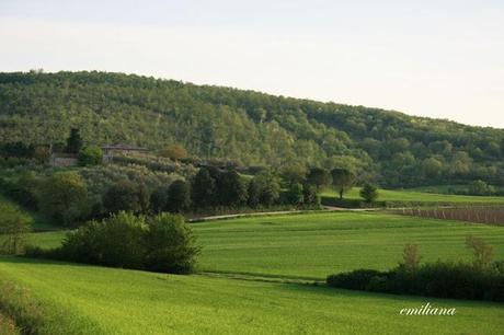 Villa Colle del Cardinale e territorio circostante.....un luogo di delizie