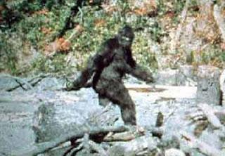 Genetista sulle tracce dello Yeti