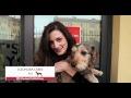 #PurinaONEpetdiary | I video