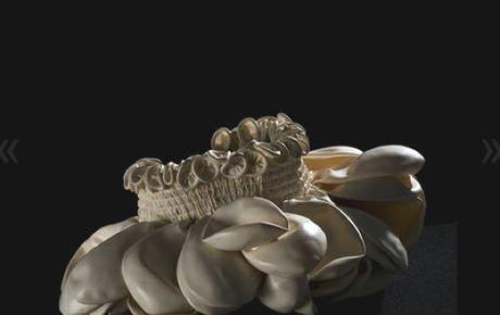 PATTERNS MATERICI NELLE STRAORDINARIE TESSITURE DI SILVIA BECCARIA