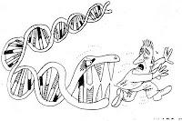 Cronistoria del DNA per il Carnevale della Chimica