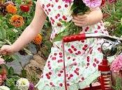 Zinnia, facile coltivare