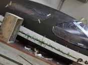 Policumbent sviluppa veicolo carenato: obiettivo Mondiali giugno