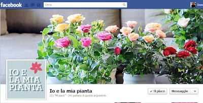 Rosa, Pianta mese di Maggio su Facebook