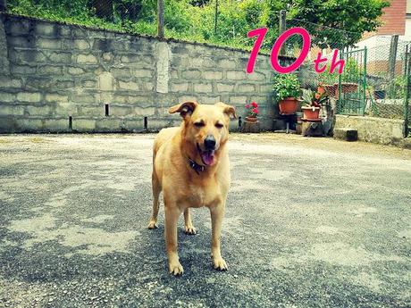 10 anni!!!