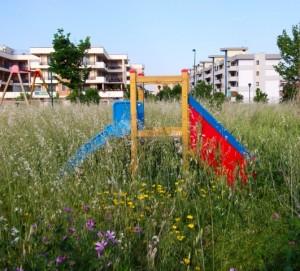 Terza tappa del gazebo itinerante sul degrado urbano a Foggia