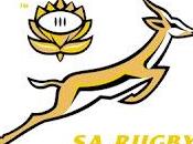 Springbocks Heyneke Meyer