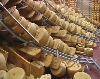 Boom Parmigiano Reggiano rovinate