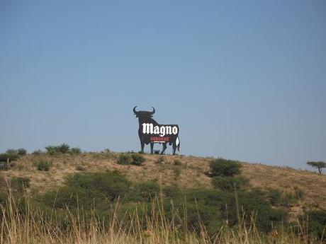 Toros de Osborne, el alma de España