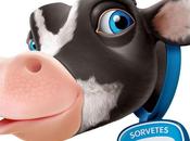 Digital Graphics Artwork Macacolandia