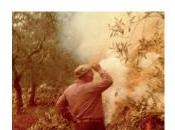 novità libreria: quei tempi buttava niente” (Youcanprint) Nicola Bruno