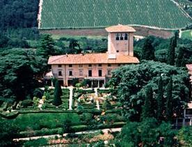 I vini di Bolgheri