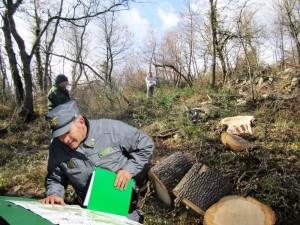 Operazione del CFS contro i ladri di Legna