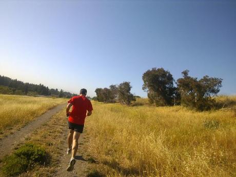 I Google Glass continuano a far passi avanti, ora il multimedia è realtà, non il contrario.