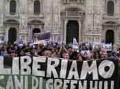 Chiusura green Hill Voto Senato rischia slittamento luglio