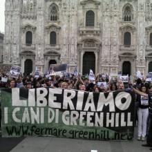 Chiusura green Hill Voto al Senato rischia slittamento a luglio