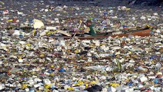 La verità sull'isola di plastica del Pacifico