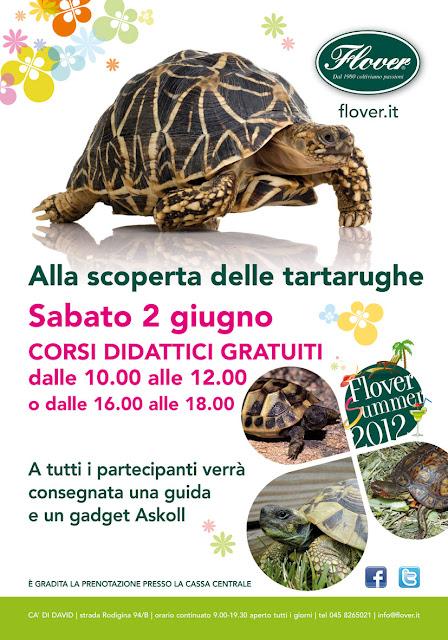 Flover Garden Center Cà di David: Alla scoperta delle tartarughe!