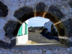 Lanzarote, azienda agricola