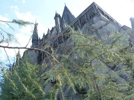 The wizarding world of Harry Potter!