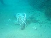 Capo Frasca: torna alla luce ancora romana