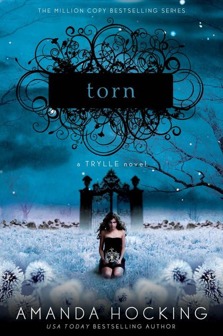 Novita’: Torn di Amanda Hocking