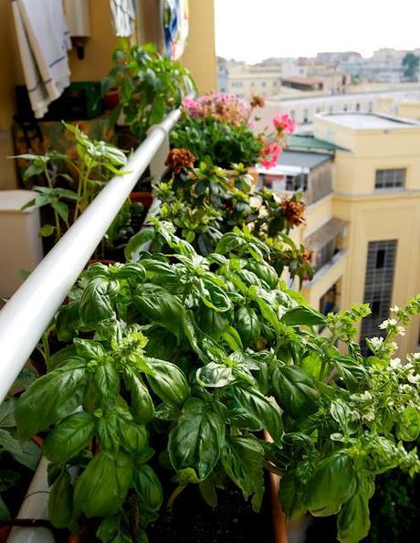 Un piccolo orto in balcone