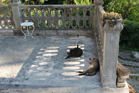 Una Domenica tra artisti!