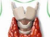 tiroide: corso Prato