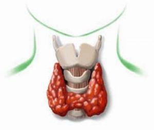 tiroide: corso ECM a Prato