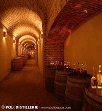 distillerie poli