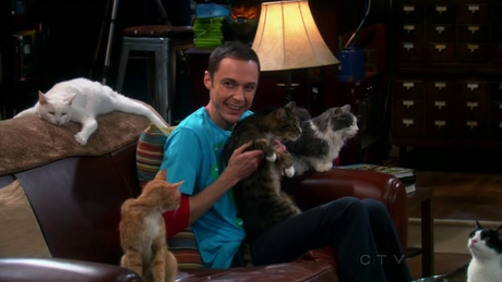 The Big Bang Theory s04e03