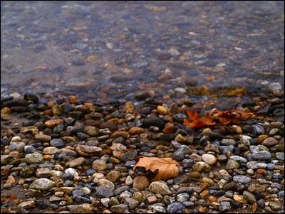 Autumn in Domaso