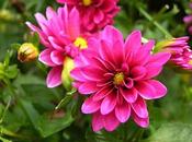 bella giornata ottobre incontrato…