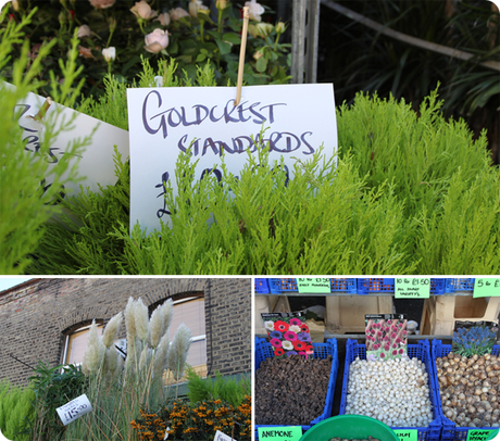 Columbia Flower Market