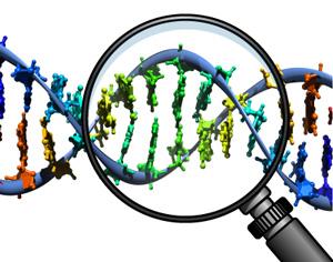 Chi ha paura del DNA? Dodici scienziati pubblicano online il proprio genoma