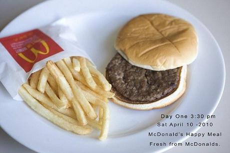 Fresh: The Happy Meal on the day it was bought by artist Sally Davies in New York
