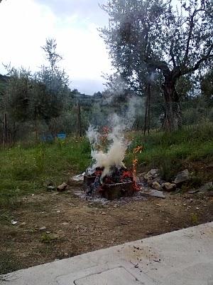 Metti una Domenica a pranzo