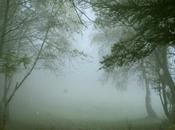 Passione d’autunno
