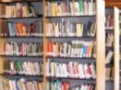 lettore compulsivo biblioteca