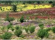 misericordia nella confessione