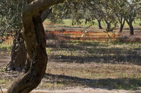 Un pensiero al giorno: riconciliarsi con l’ambiente