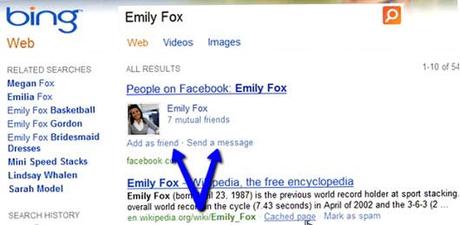 facebook_bing_results