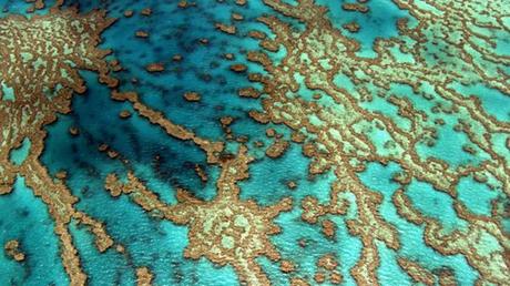 Yann Arthus-Bertrand: uno sguardo dal cielo per lo sviluppo sostenibile