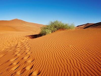 CAMBIAMNETI DEL CLIMA A CAUSA DEL DESERTO DEL SAHARA